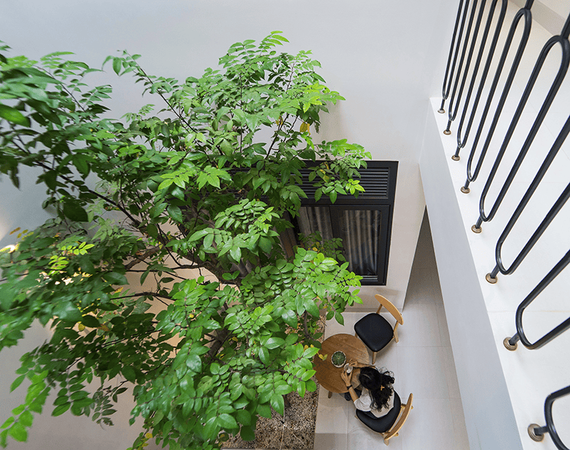 Long Thanh House